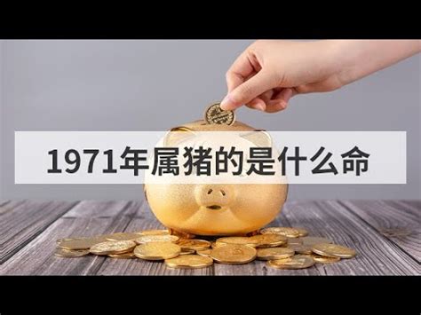 1971是什么年|1971年